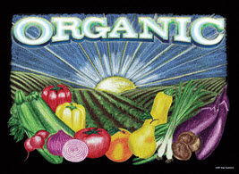 ChalkArt Organic 16.5'' x 22.5'' Decor Panel